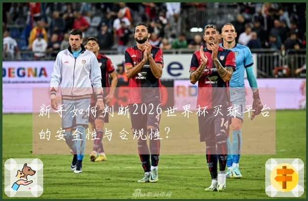 新手如何判断2026世界杯买球平台的安全性与合规性？
