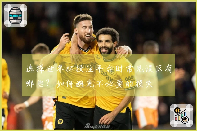 选择世界杯投注平台时常见误区有哪些？如何避免不必要的损失