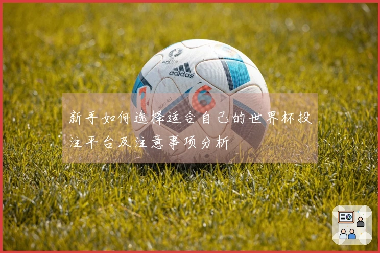 新手如何选择适合自己的世界杯投注平台及注意事项分析
