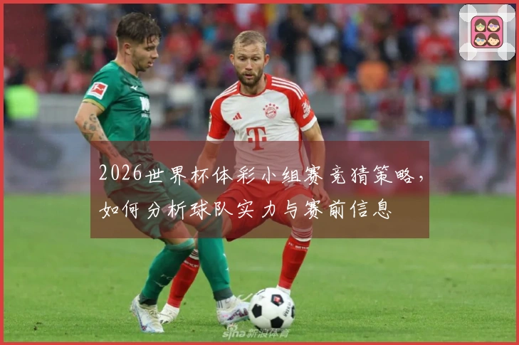 2026世界杯体彩小组赛竞猜策略，如何分析球队实力与赛前信息