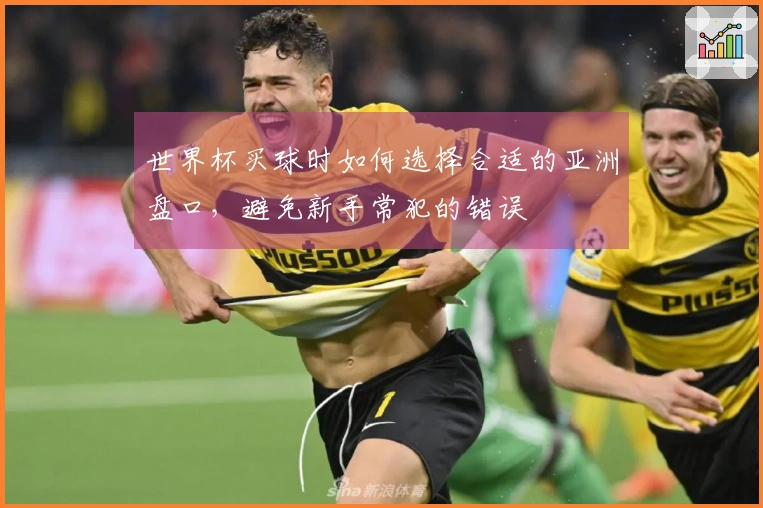 世界杯买球时如何选择合适的亚洲盘口，避免新手常犯的错误