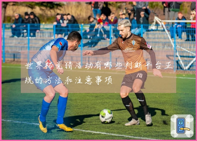 世界杯竞猜活动有哪些判断平台正规的方法和注意事项
