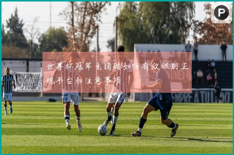 世界杯冠军竞猜时如何有效识别正规平台和注意事项