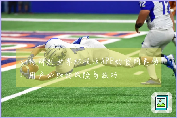 如何辨别世界杯投注APP的官网真伪？用户必知的风险与技巧