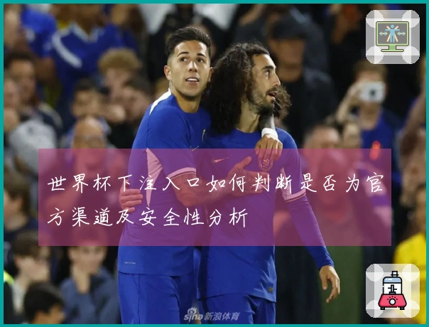 世界杯下注入口如何判断是否为官方渠道及安全性分析