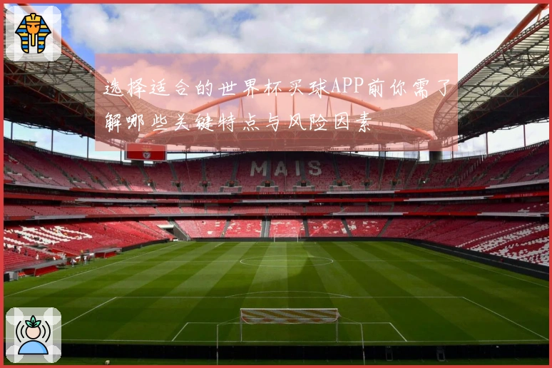 选择适合的世界杯买球APP前你需了解哪些关键特点与风险因素