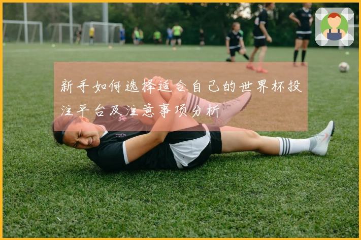 新手如何选择适合自己的世界杯投注平台及注意事项分析