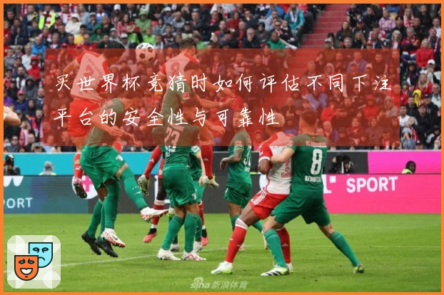 买世界杯竞猜时如何评估不同下注平台的安全性与可靠性