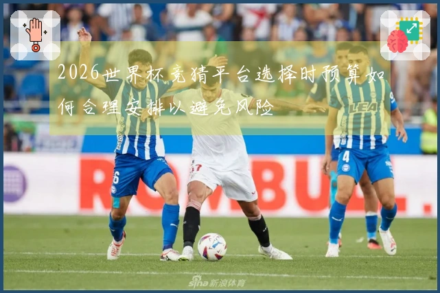 2026世界杯竞猜平台选择时预算如何合理安排以避免风险