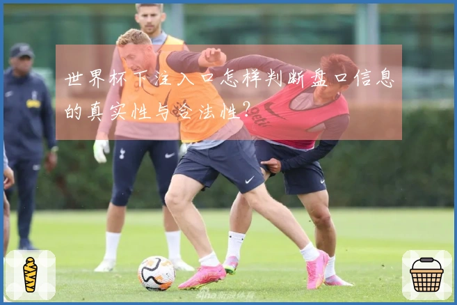 世界杯下注入口怎样判断盘口信息的真实性与合法性？