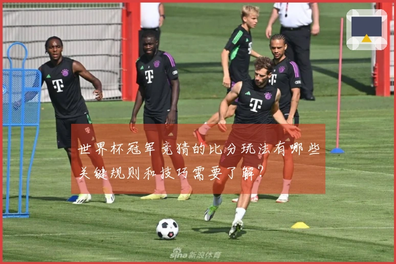 世界杯冠军竞猜的比分玩法有哪些关键规则和技巧需要了解？