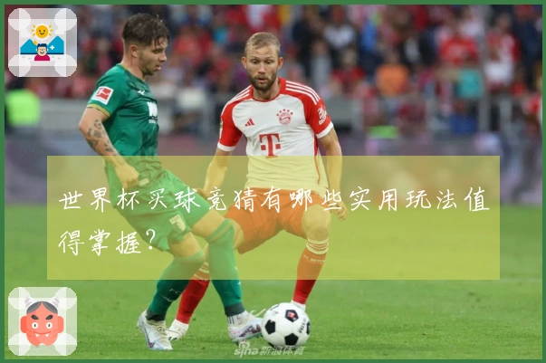 世界杯买球竞猜有哪些实用玩法值得掌握？