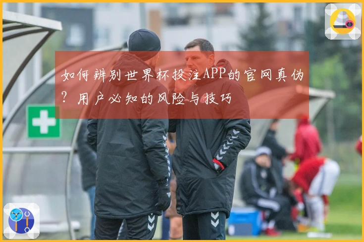 如何辨别世界杯投注APP的官网真伪？用户必知的风险与技巧