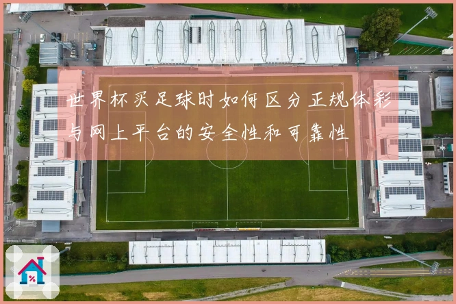 世界杯买足球时如何区分正规体彩与网上平台的安全性和可靠性