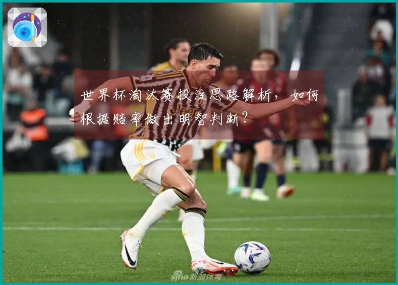 世界杯淘汰赛投注思路解析，如何根据赔率做出明智判断？