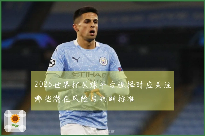 2026世界杯买球平台选择时应关注哪些潜在风险与判断标准