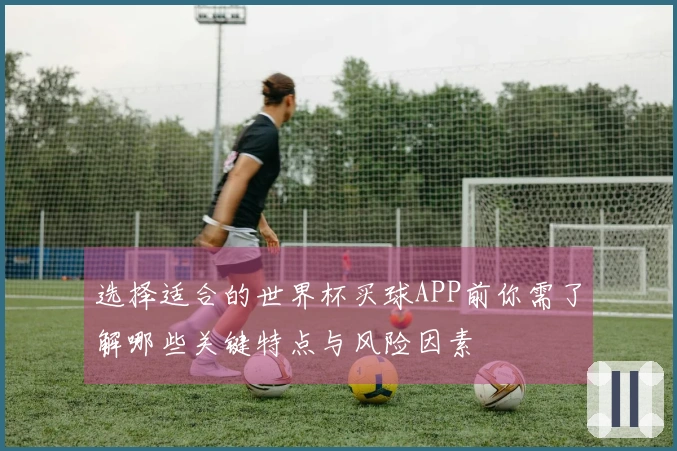 选择适合的世界杯买球APP前你需了解哪些关键特点与风险因素