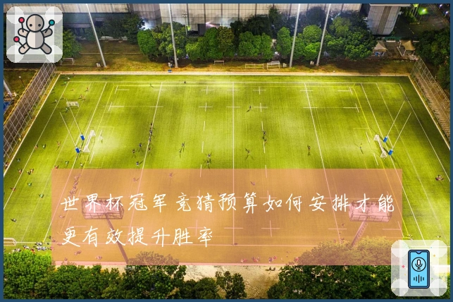 世界杯冠军竞猜预算如何安排才能更有效提升胜率