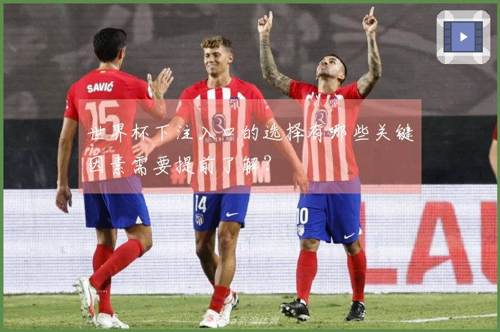 世界杯下注入口的选择有哪些关键因素需要提前了解？