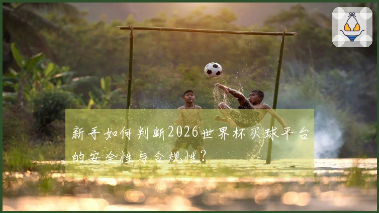 新手如何判断2026世界杯买球平台的安全性与合规性？