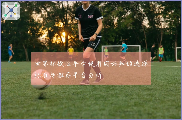 世界杯投注平台使用前必知的选择标准与推荐平台分析