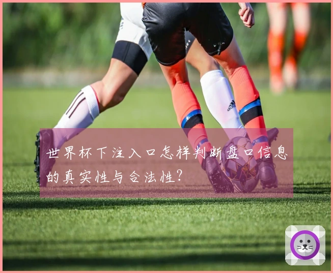 世界杯下注入口怎样判断盘口信息的真实性与合法性？