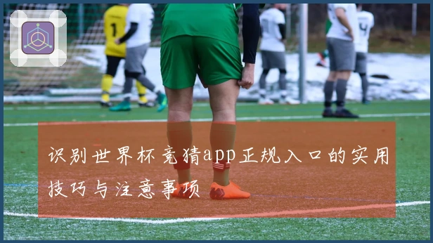 识别世界杯竞猜app正规入口的实用技巧与注意事项