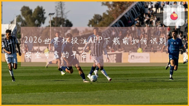 2026世界杯投注APP下载前如何识别安全可靠的平台