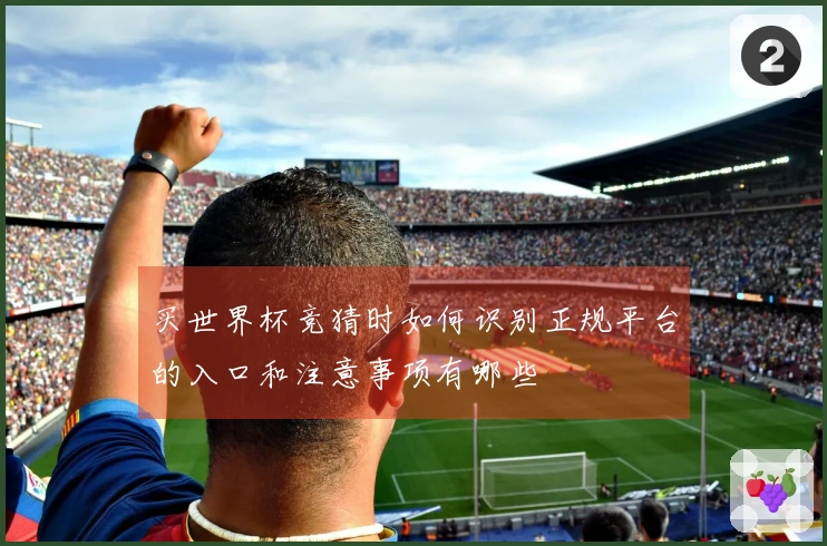 买世界杯竞猜时如何识别正规平台的入口和注意事项有哪些
