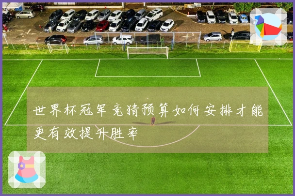 世界杯冠军竞猜预算如何安排才能更有效提升胜率