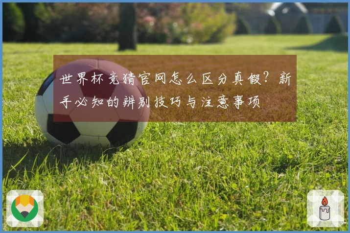 世界杯竞猜官网怎么区分真假？新手必知的辨别技巧与注意事项